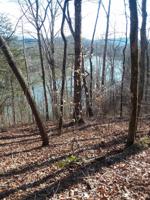 536 Scenic River Rd