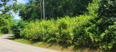 0 Bowman Bend Rd