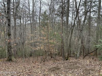 173 Pineridge Loop
