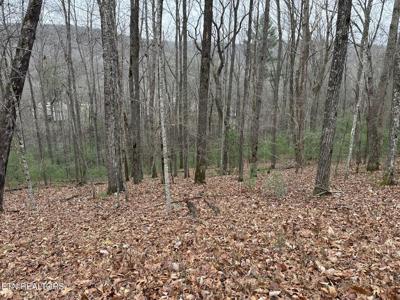 179 Pineridge Loop