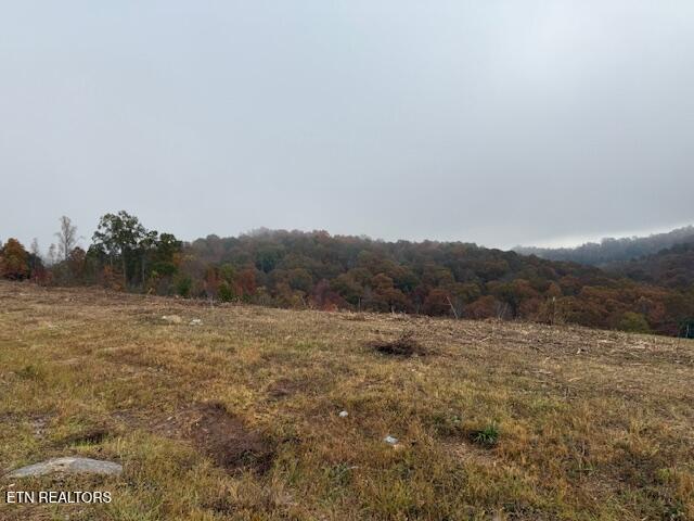 Image 2: land view looking to back