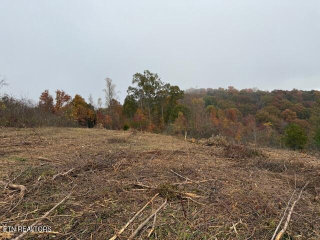 Image 3: land lot 64