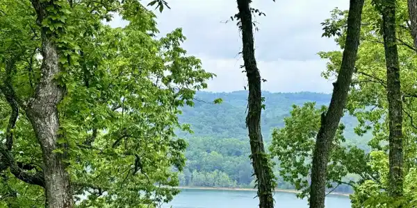 Lot 731 Russell Brothers Rd