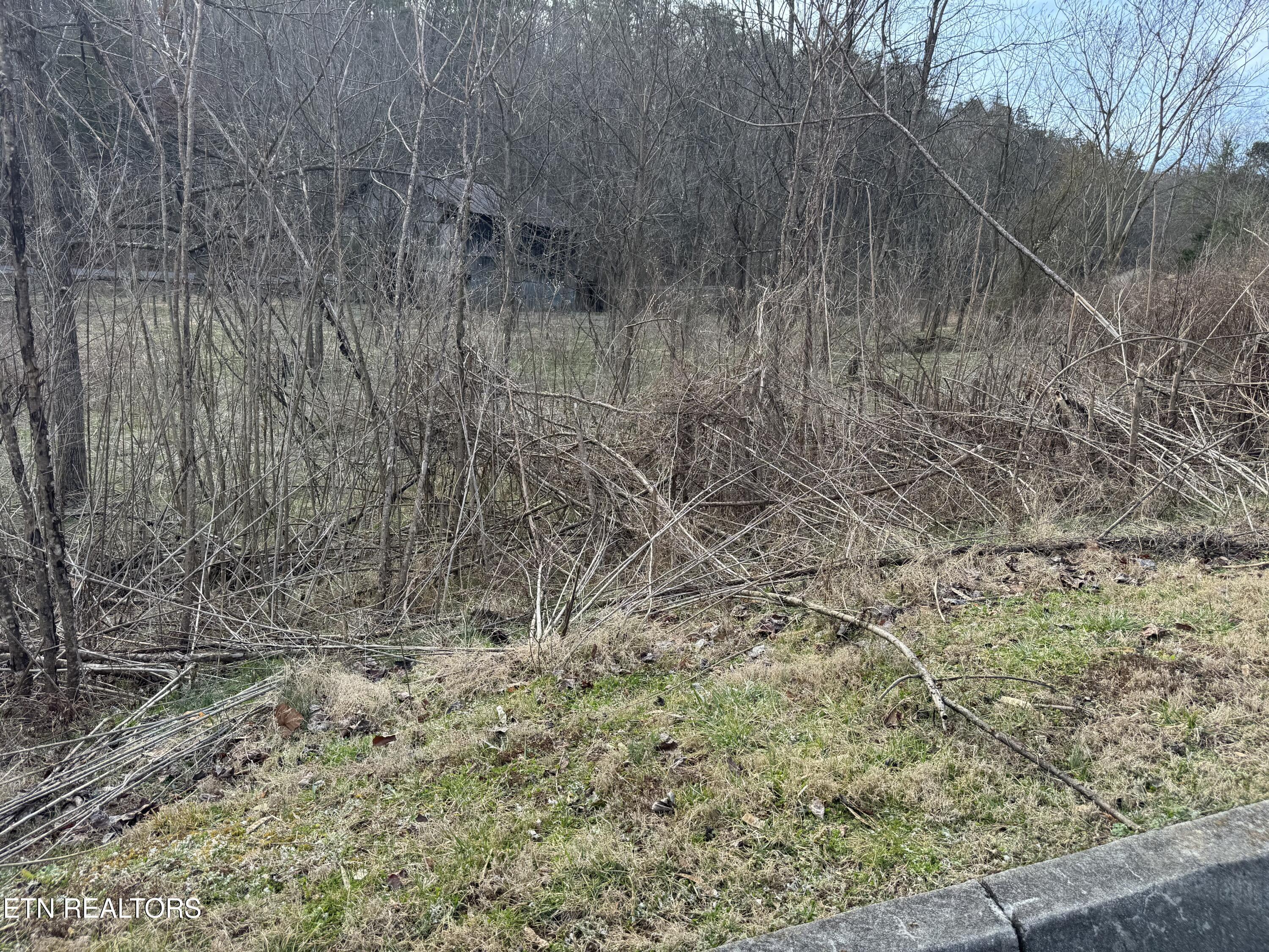 Image 3: IMG_3384