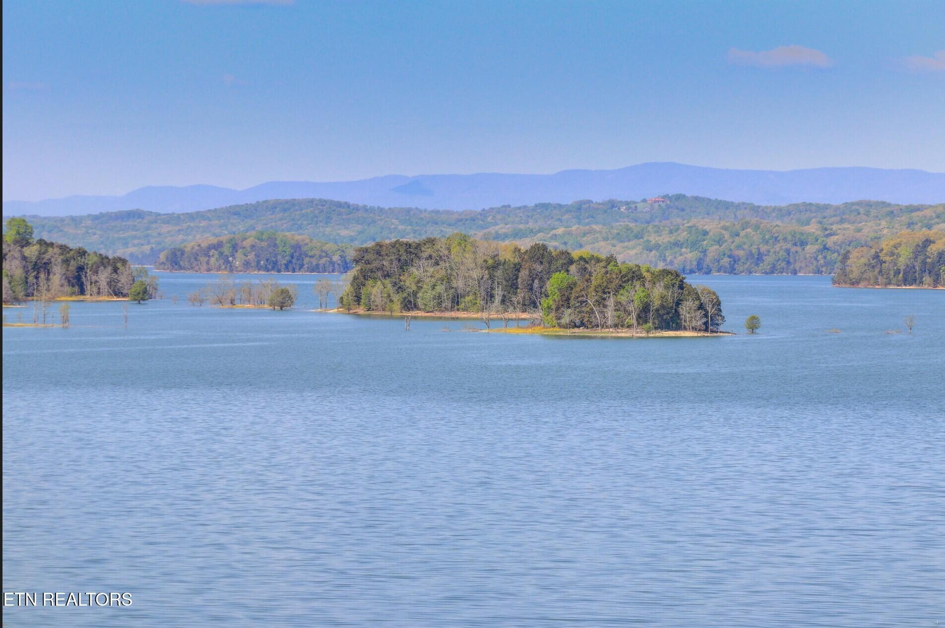 Image 2: Picture 2