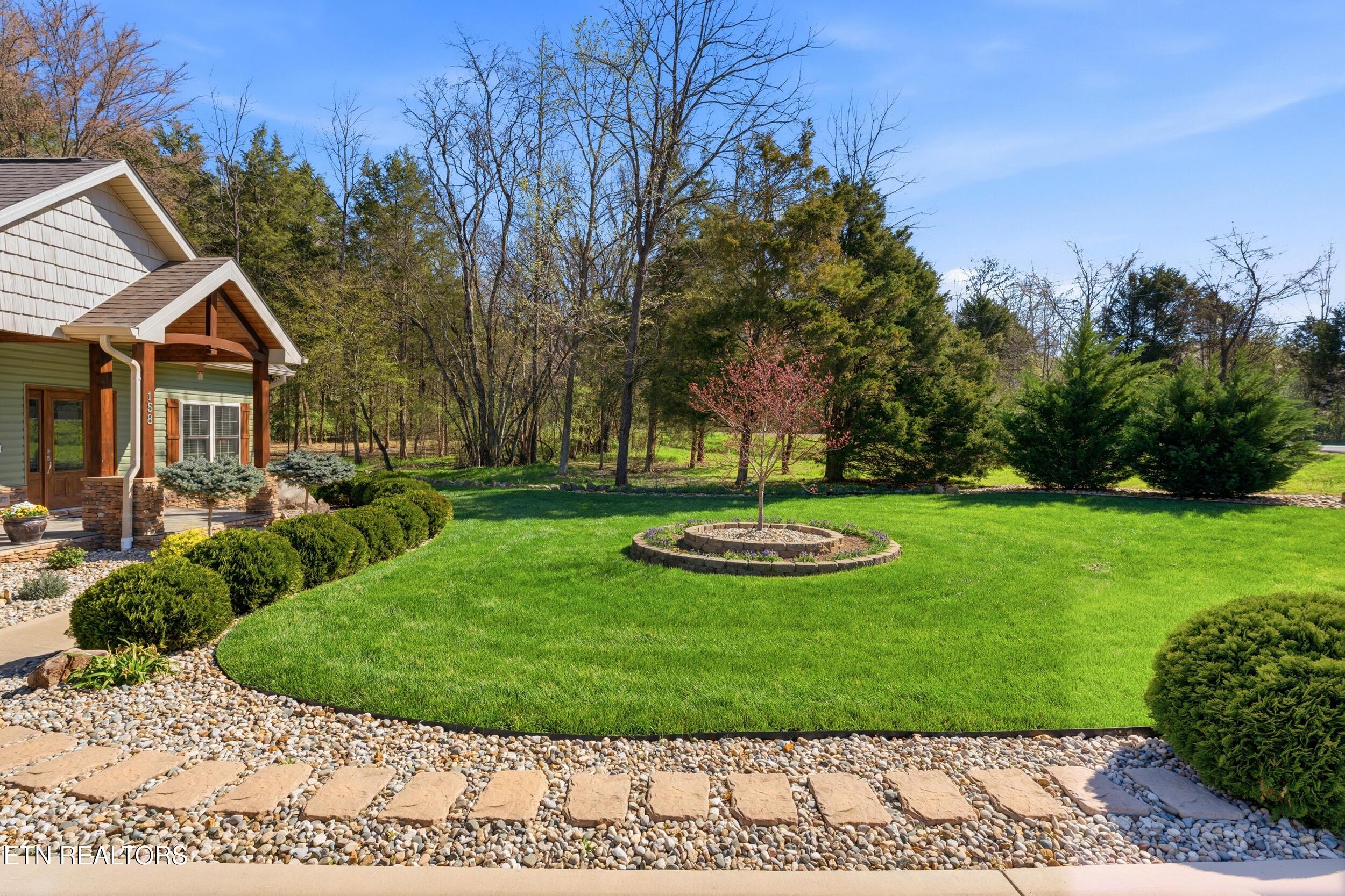 Image 4: 7_007-158 gado wy