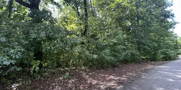 Image 3: Road view