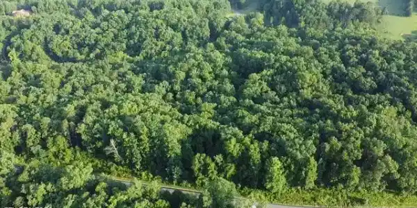 Lot 4 Woodland Creek Drive