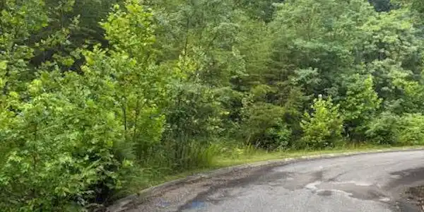 Lot 14 Woodland Creek Drive