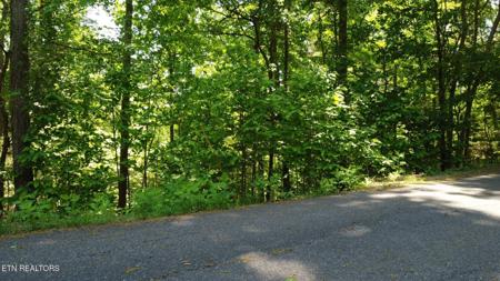 Deer Run Point