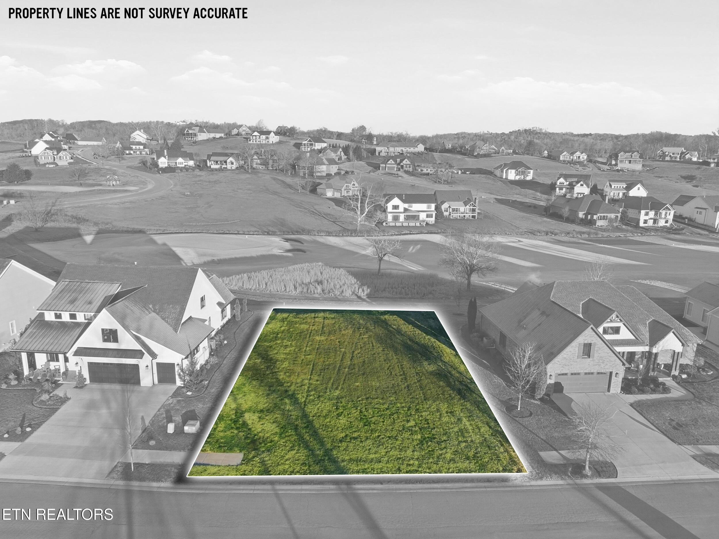 Image 3: 6_dji_0008-lines