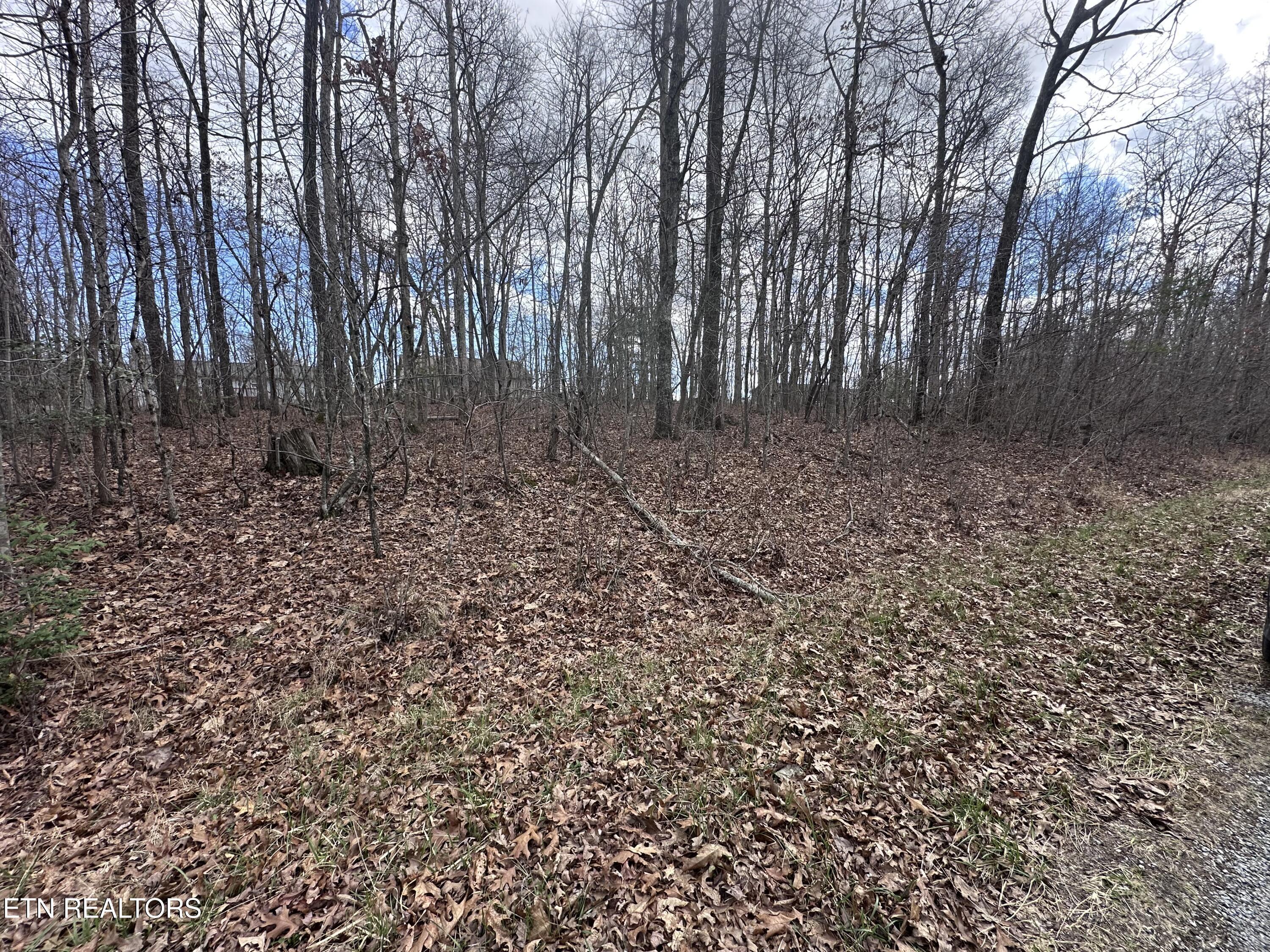 Image 2: IMG_2248