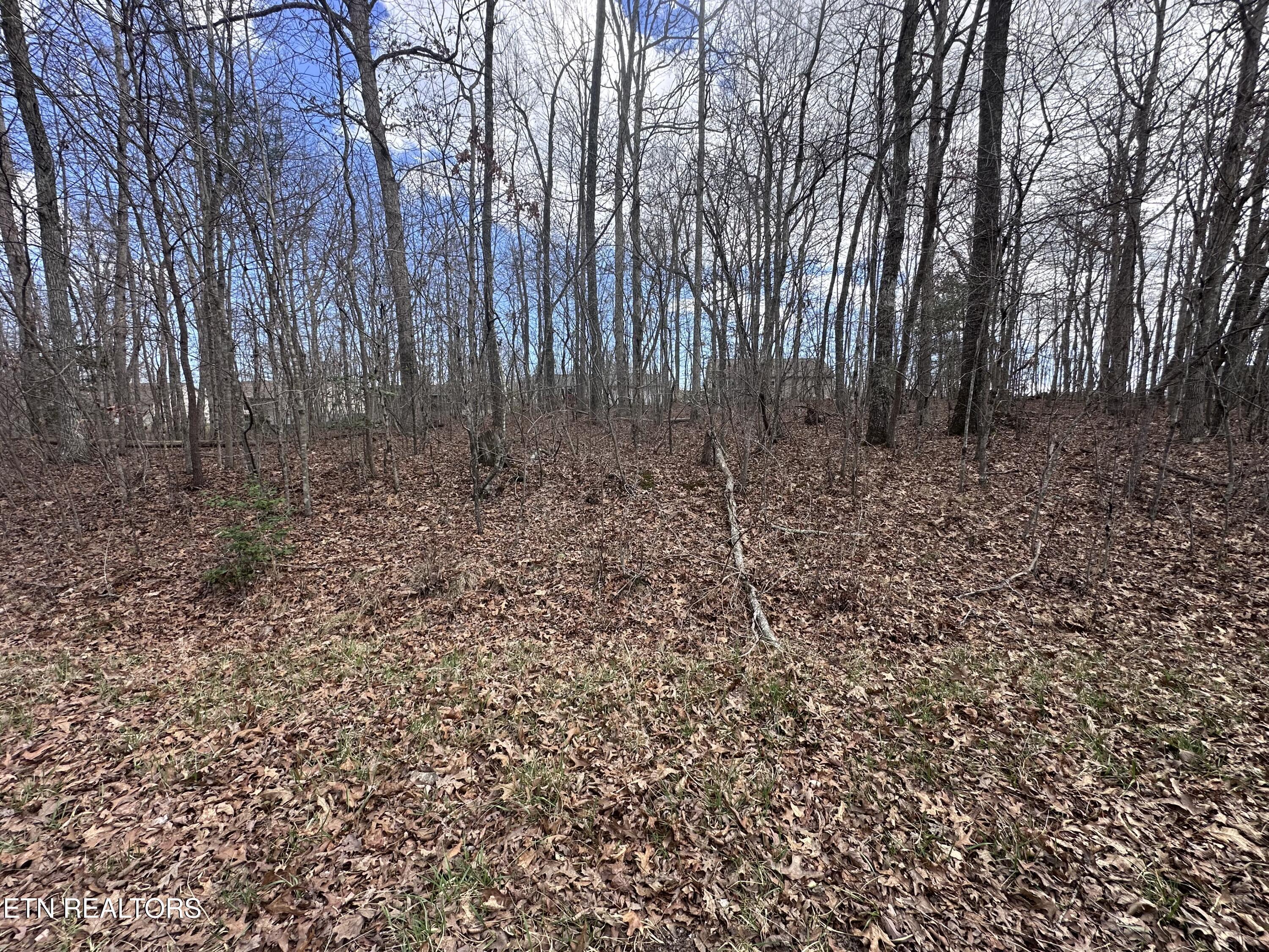 Image 3: IMG_2246