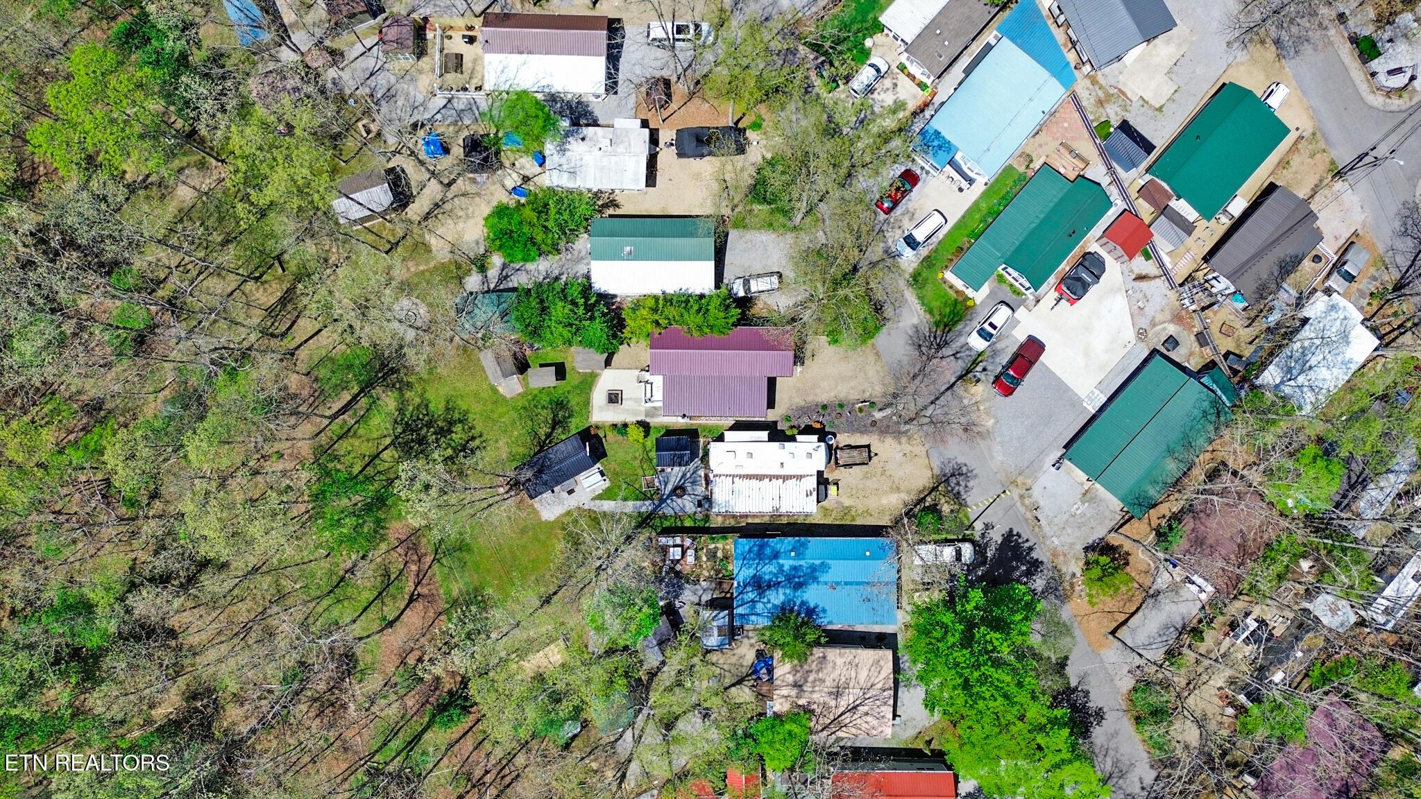 Image 4: Double Lot