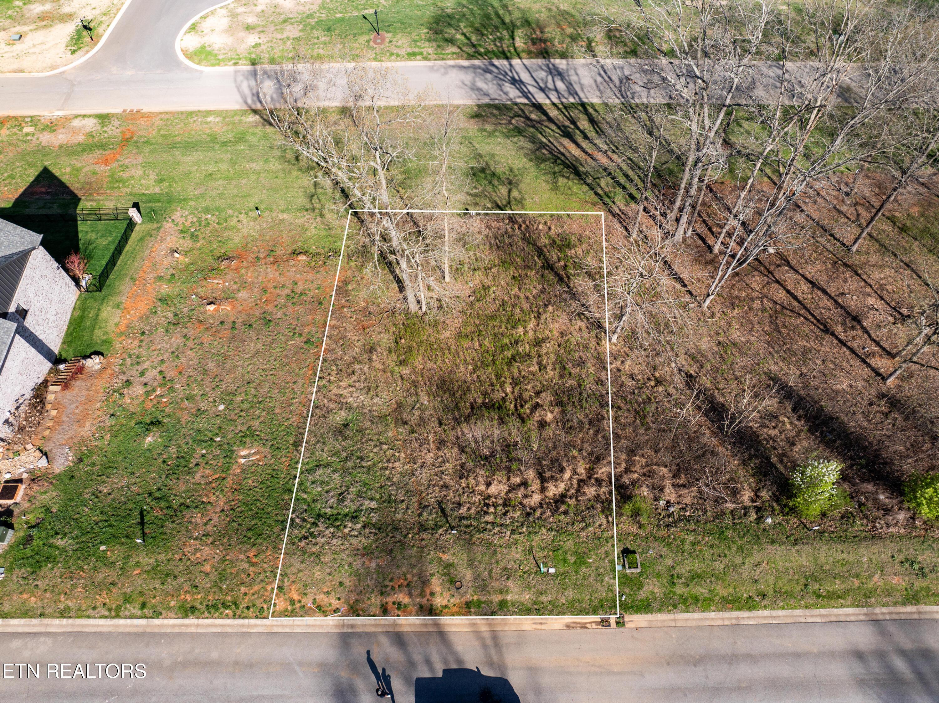 Image 3: DJI_20260313112136_0163_D-Edit