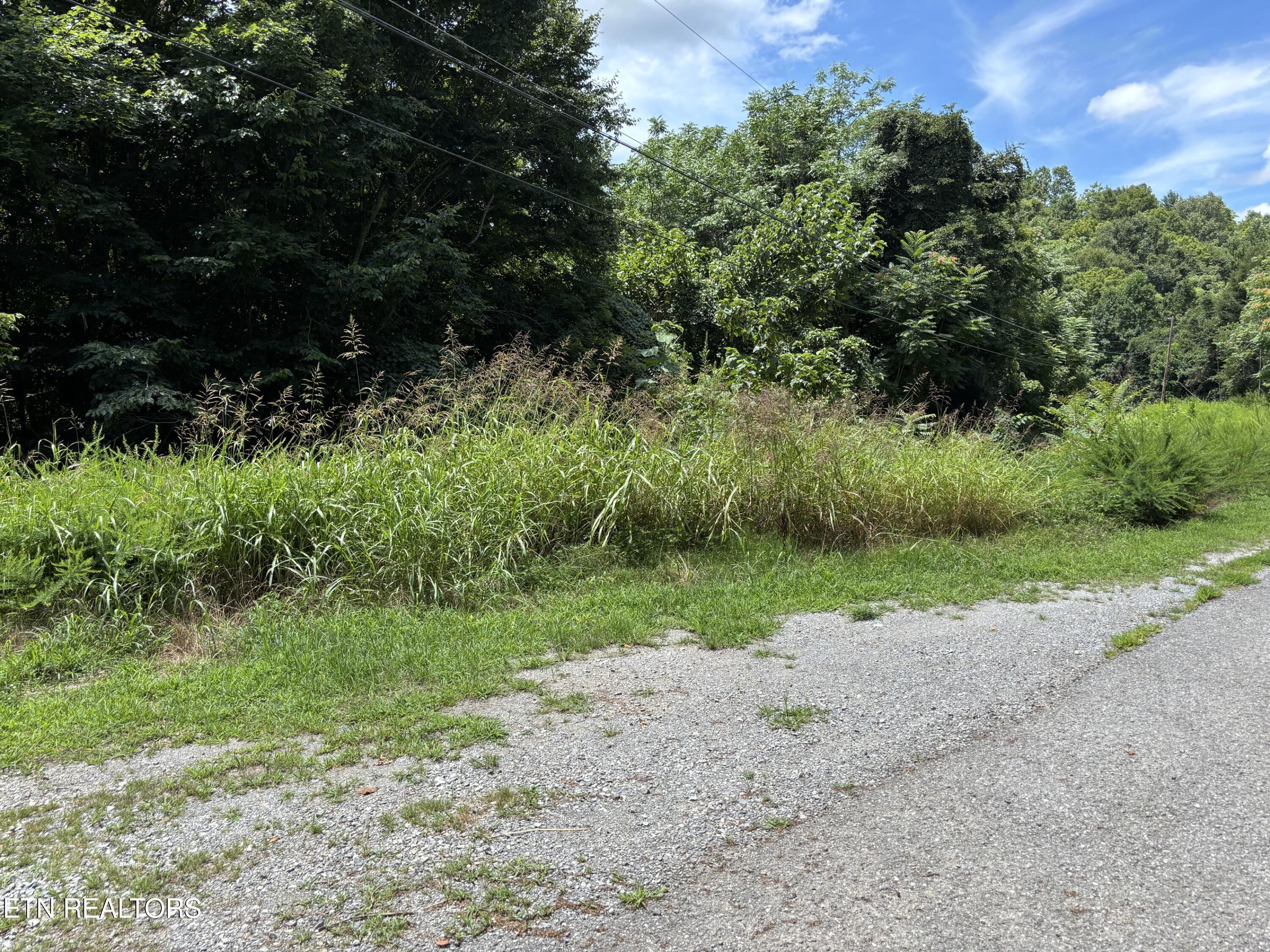 Image 2: street view lot 322 Shoreside rd