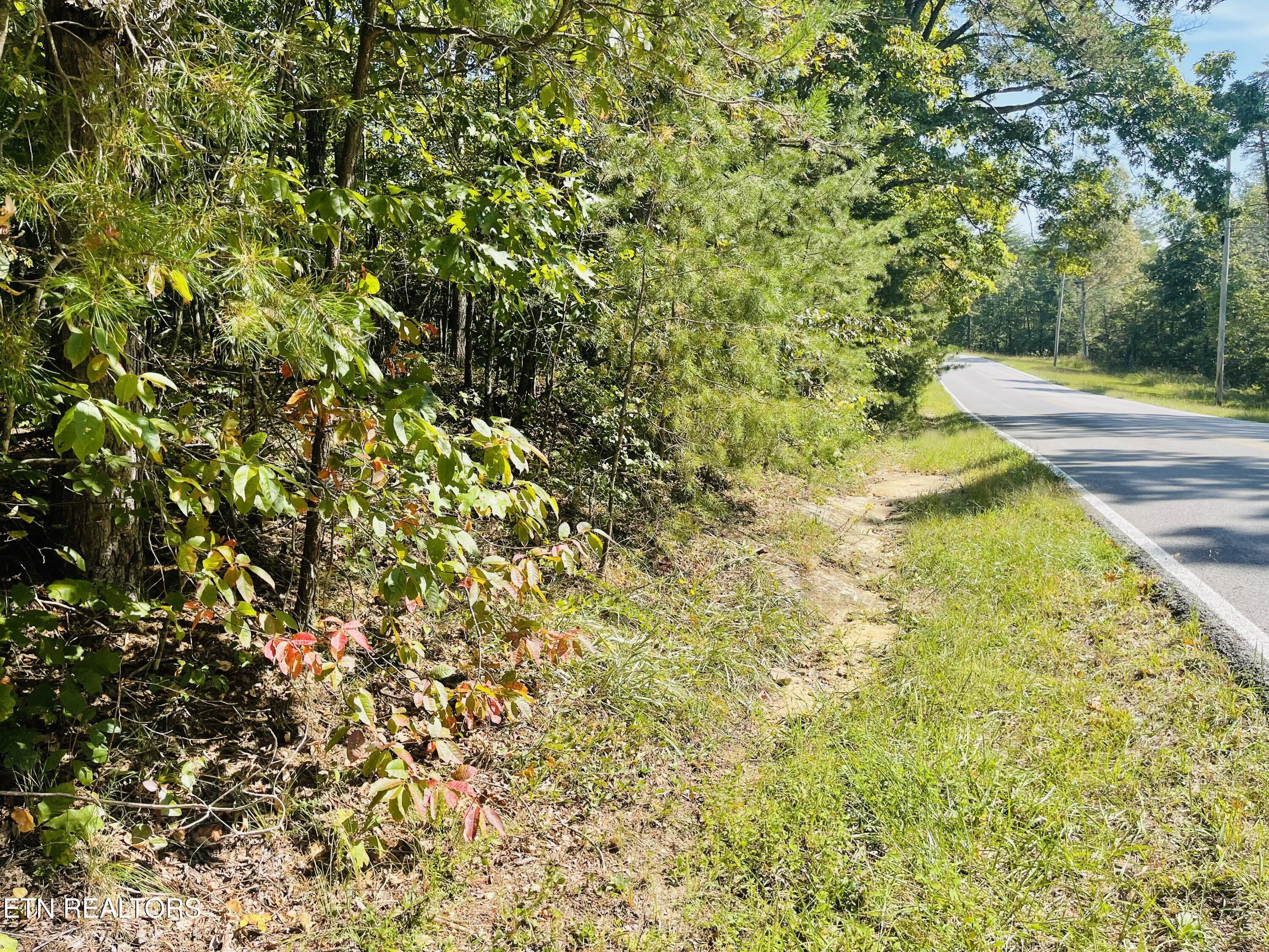 Image 3: IMG_1960