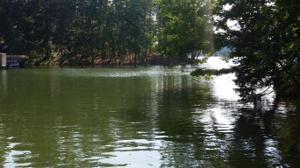 208 E Cove Drive 30