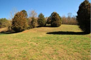174 Thunder Ridge Dr. 43