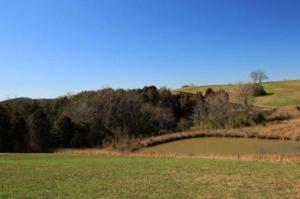 154 Thunder Ridge Dr. 45r