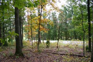 1950 Turner Landing Rd 10