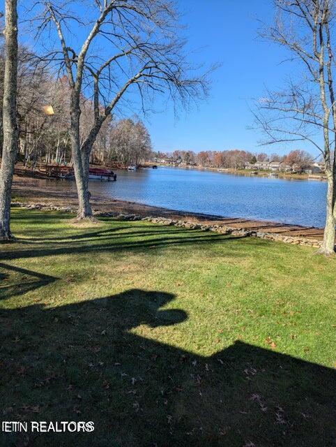 Image 4: 20241203161636930368000000-o