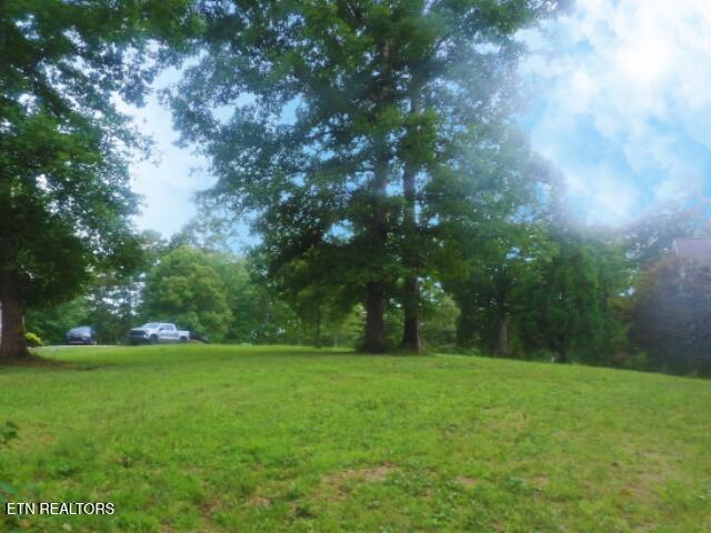 Image 3: Level cleared lake front lot