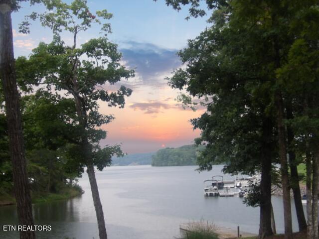 Image 4: Lake views an dock