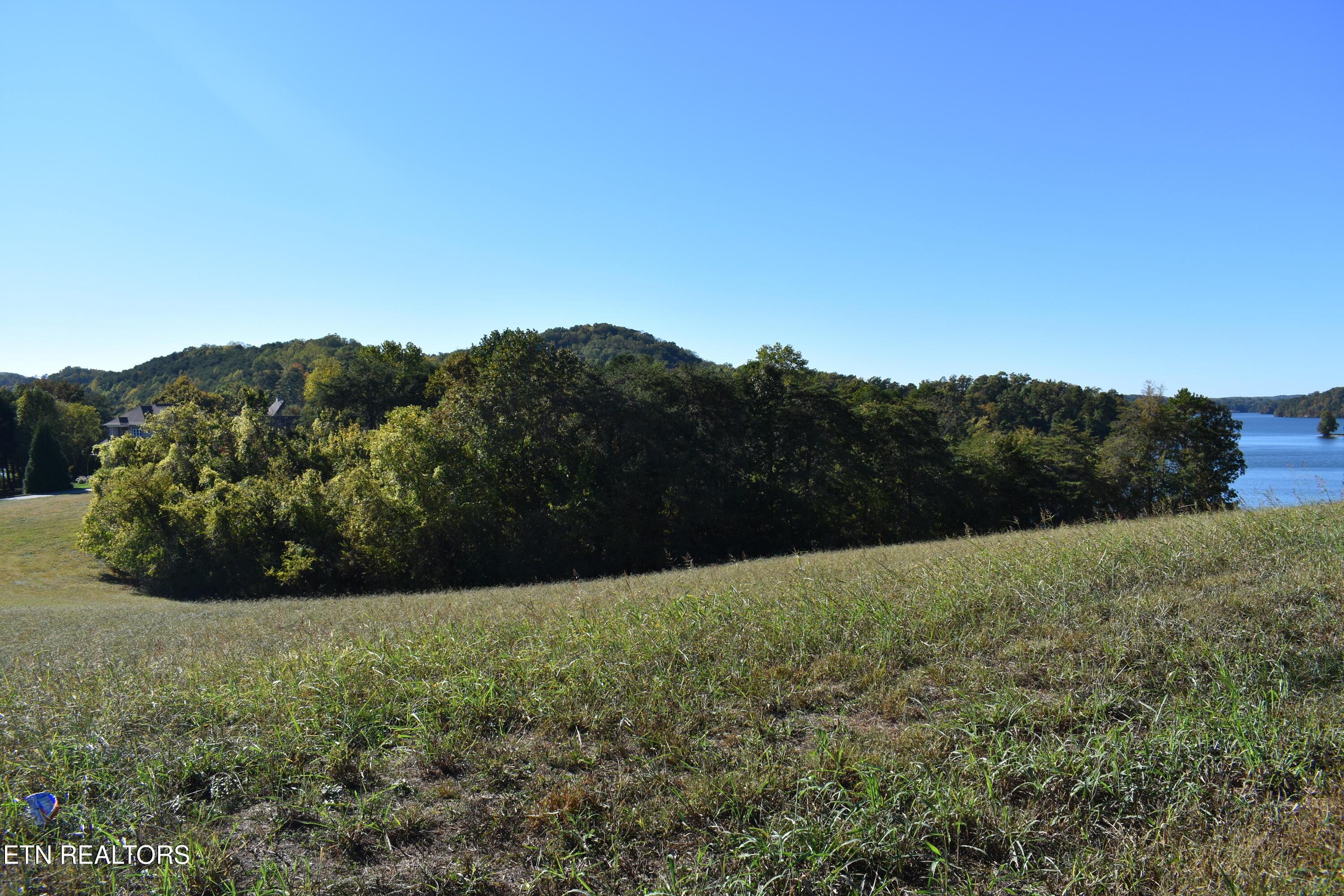 Image 1: DSC_0002