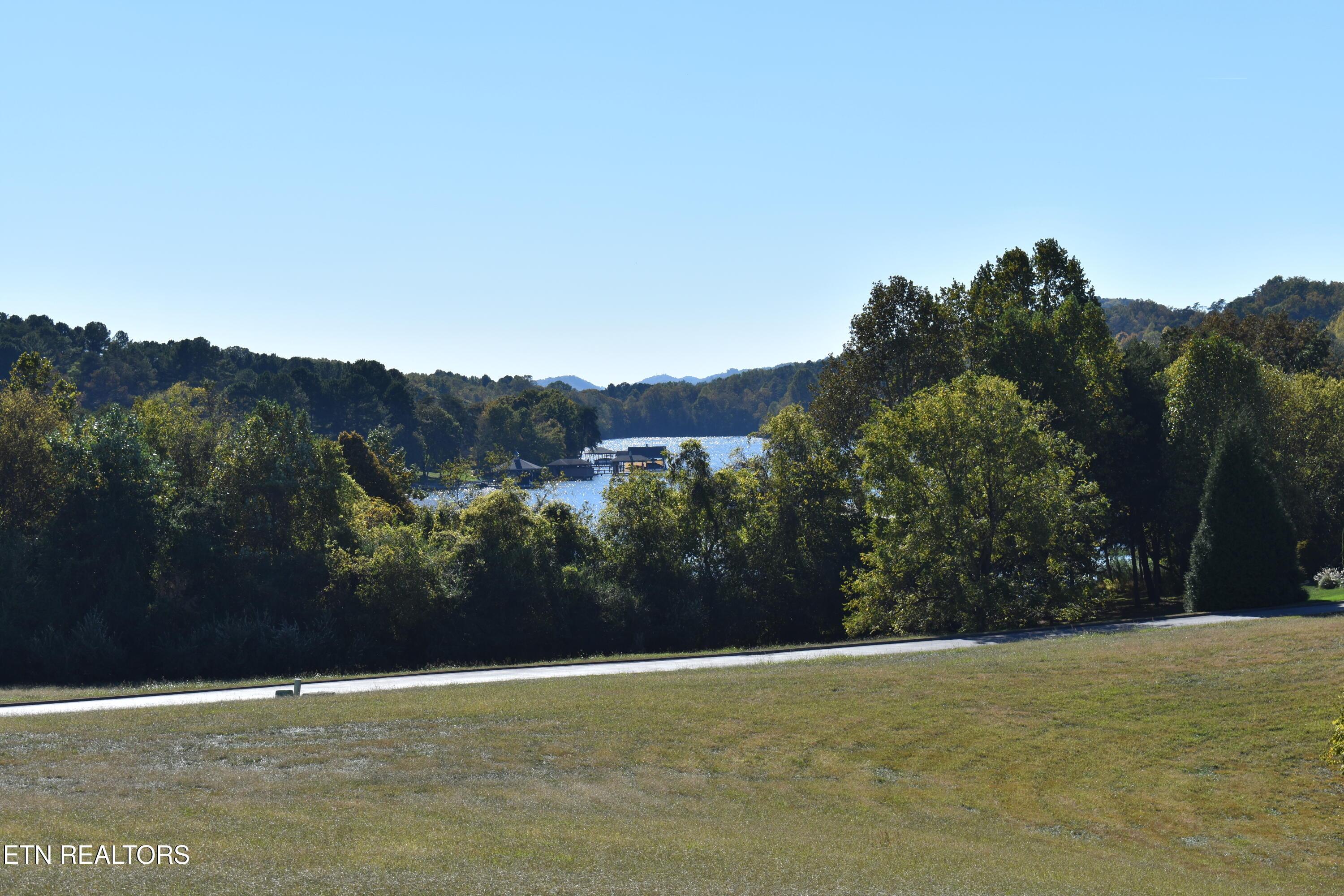 Image 2: DSC_0001