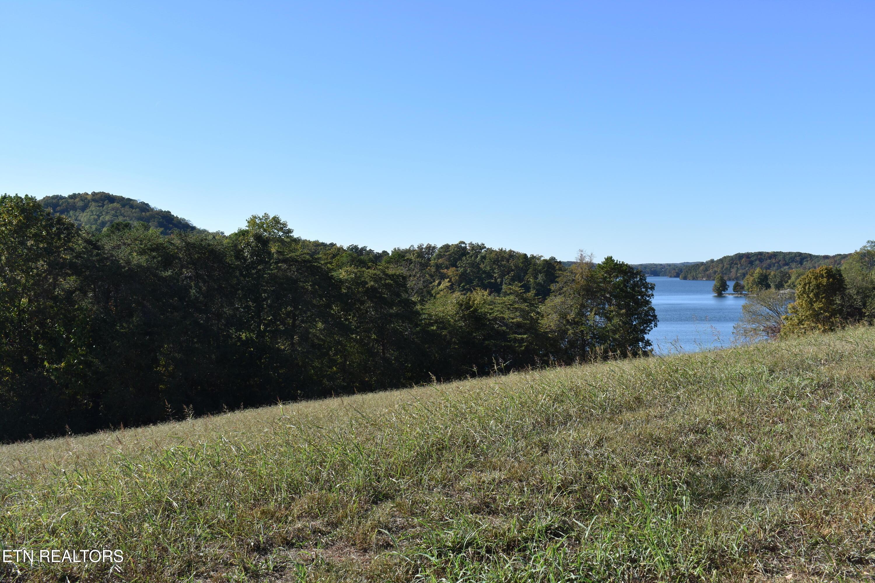 Image 3: DSC_0003