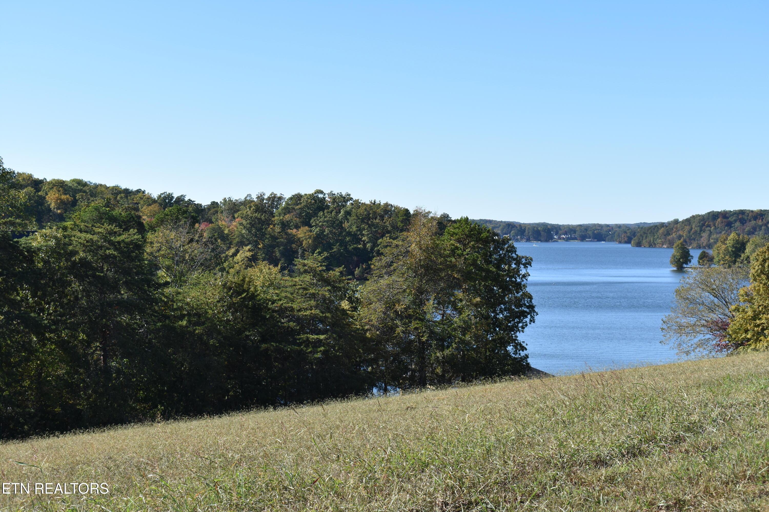 Image 4: DSC_0004