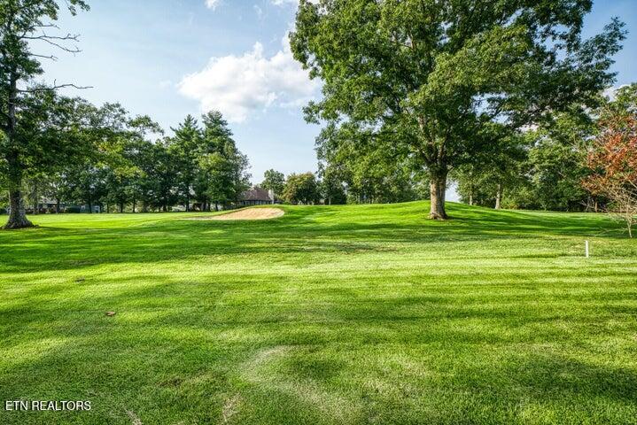 Image 2: 1024 Ridley golf course