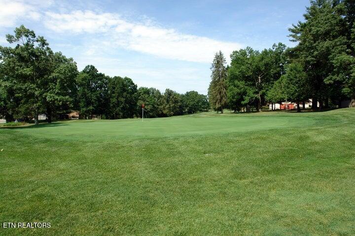 Image 3: 1024 Ridley golf course 2