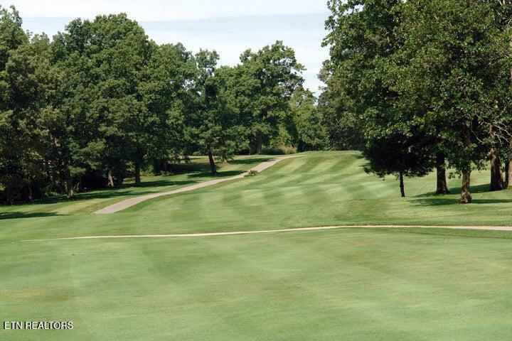 Image 4: 1024 Ridley golf course 3