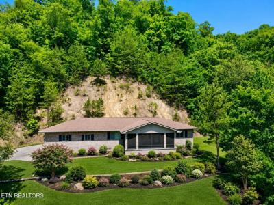 454 Wildcat Hollow Rd