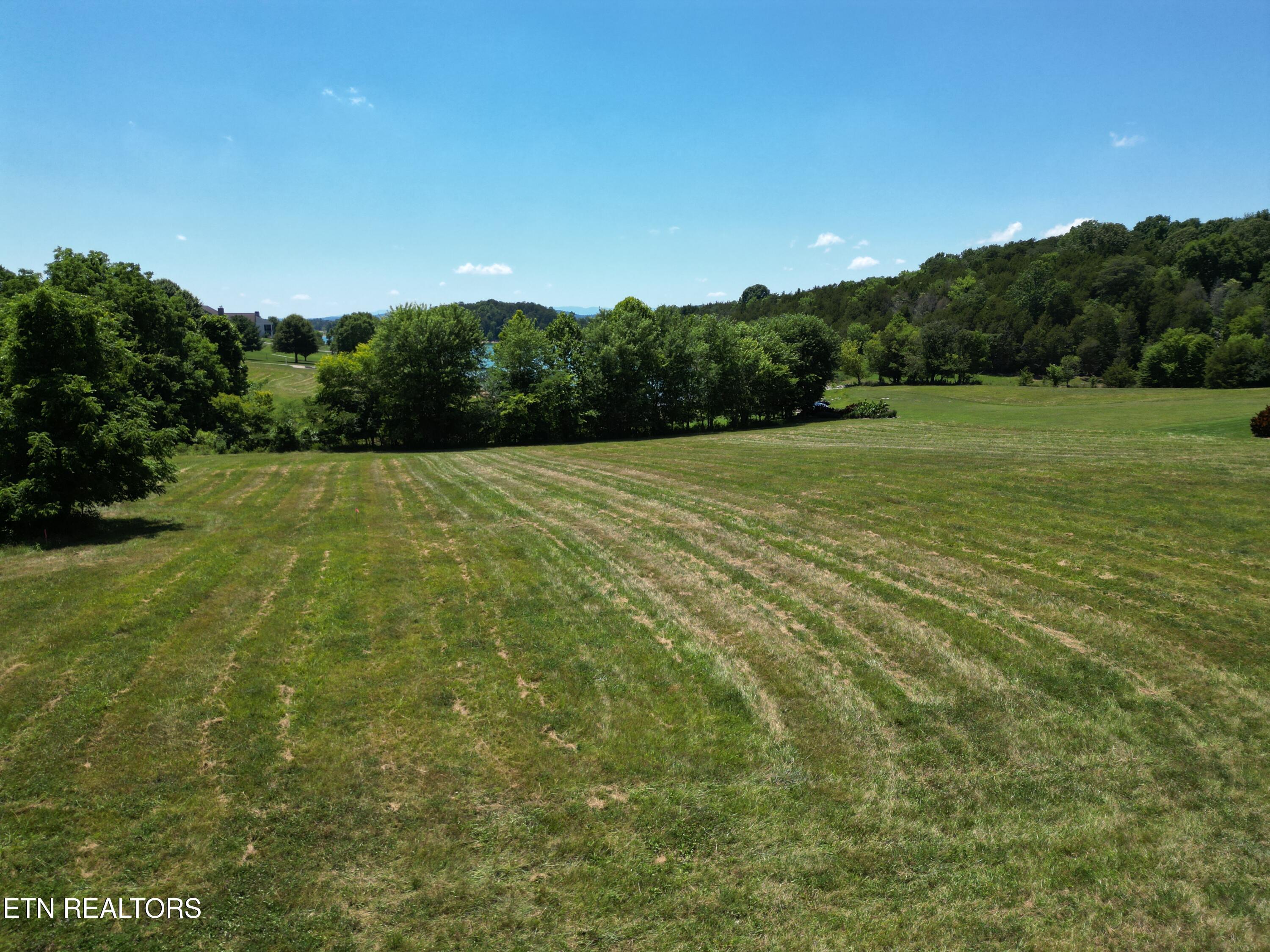 Image 3: DJI_0461