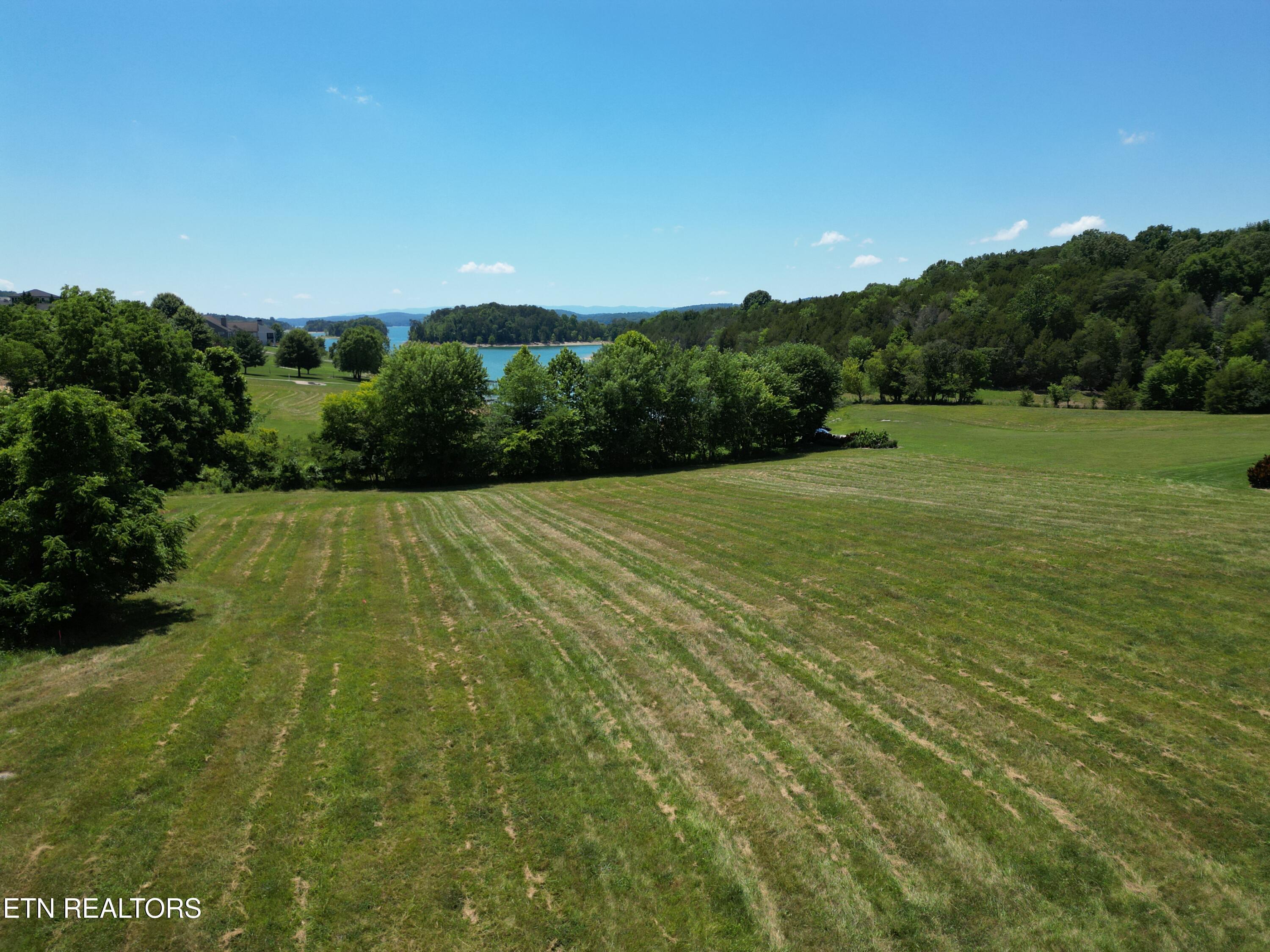 Image 4: DJI_0462