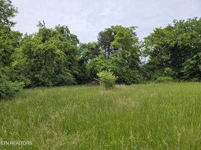 TBD BOATMANS MOUNTAIN-TR 1 Rd