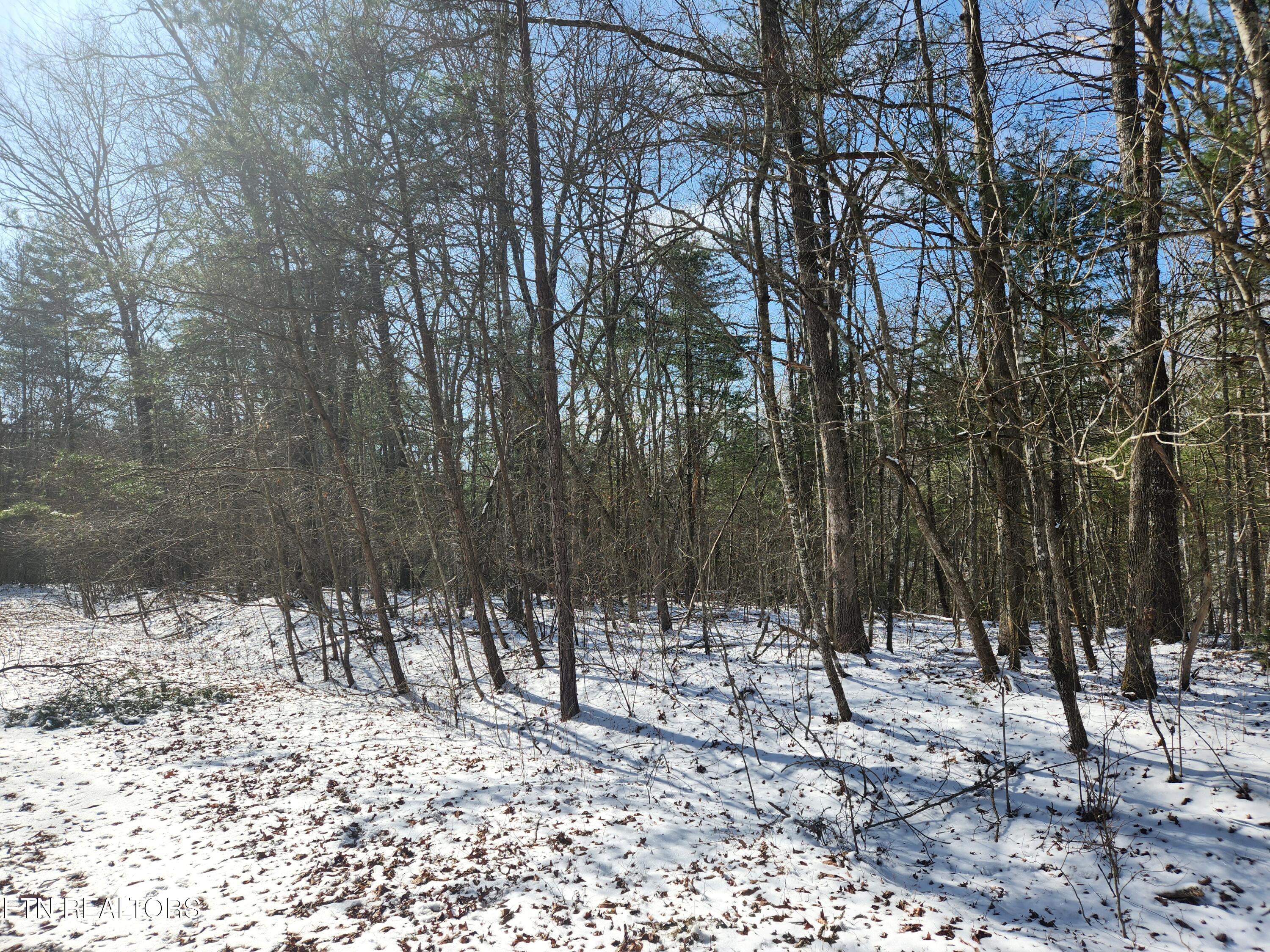 Image 2: 20260202_115232