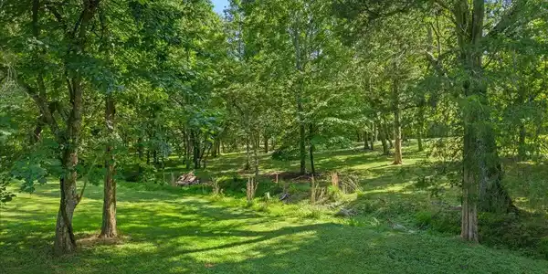 Image 4: 6