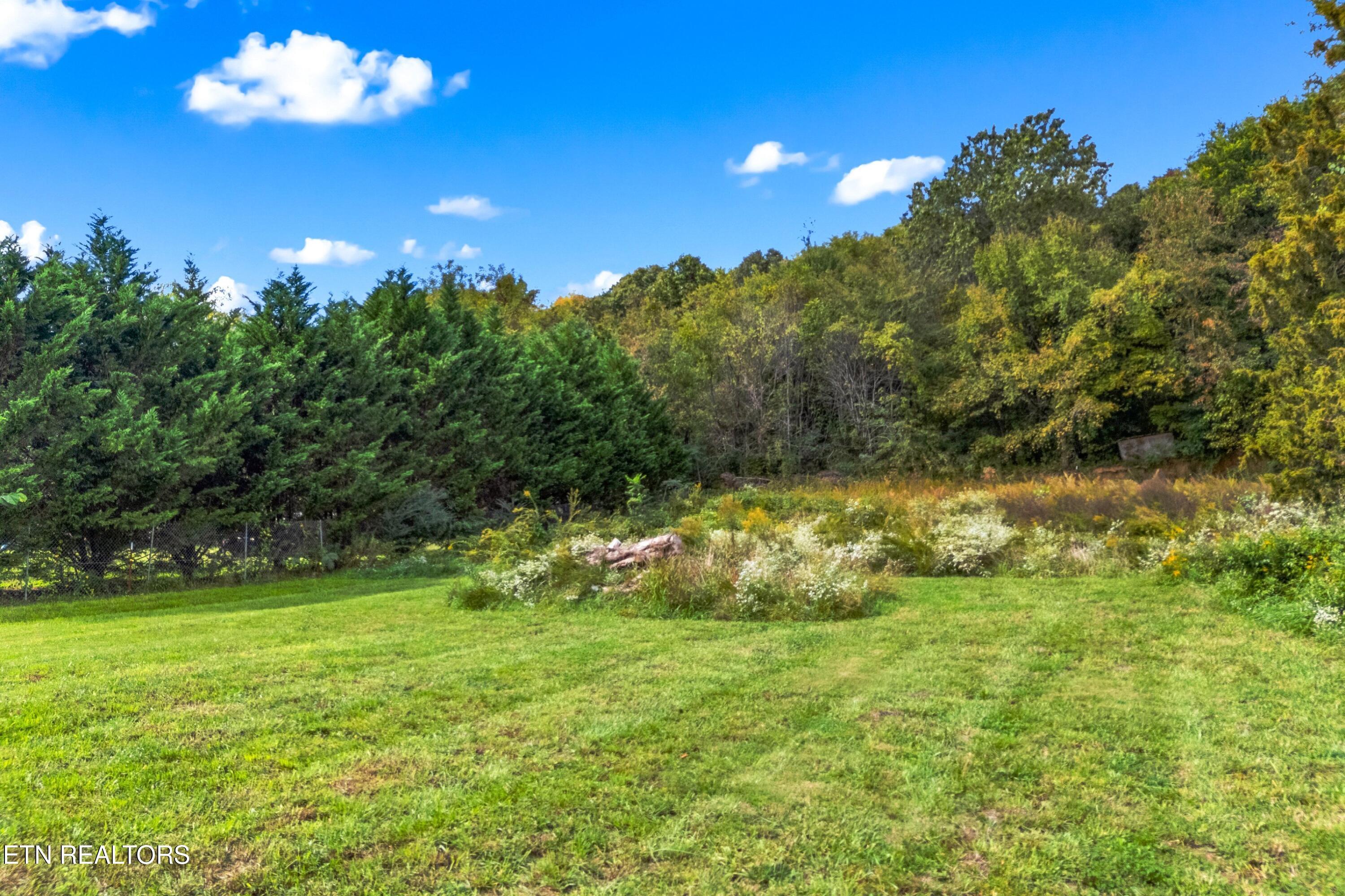 Image 4: 004-LivingstonLane-TN-37809-SMALL