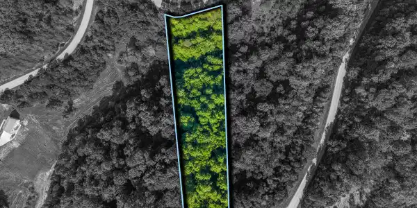 Lot 487 Magnolia Lane