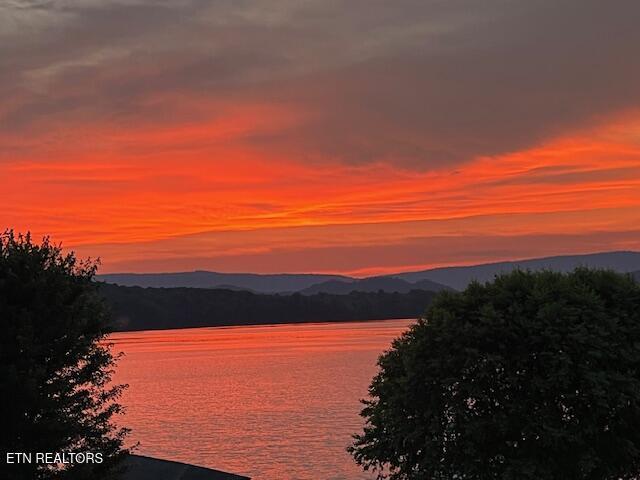 Image 4: sunset