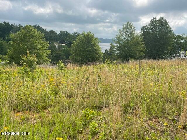 Image 3: Lake View1