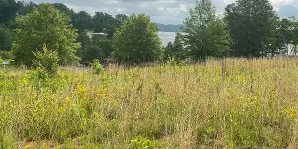 Image 3: Lake View1