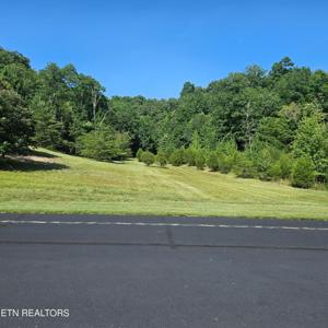 Lot 398 W Mountain Drive