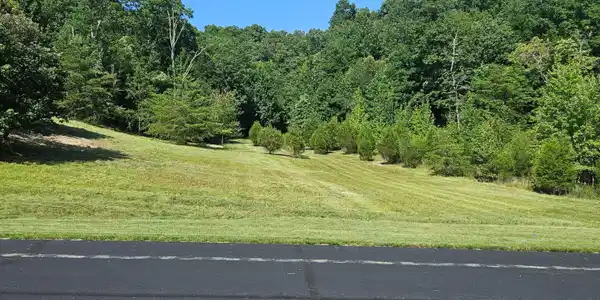 Lot 398 W Mountain Drive
