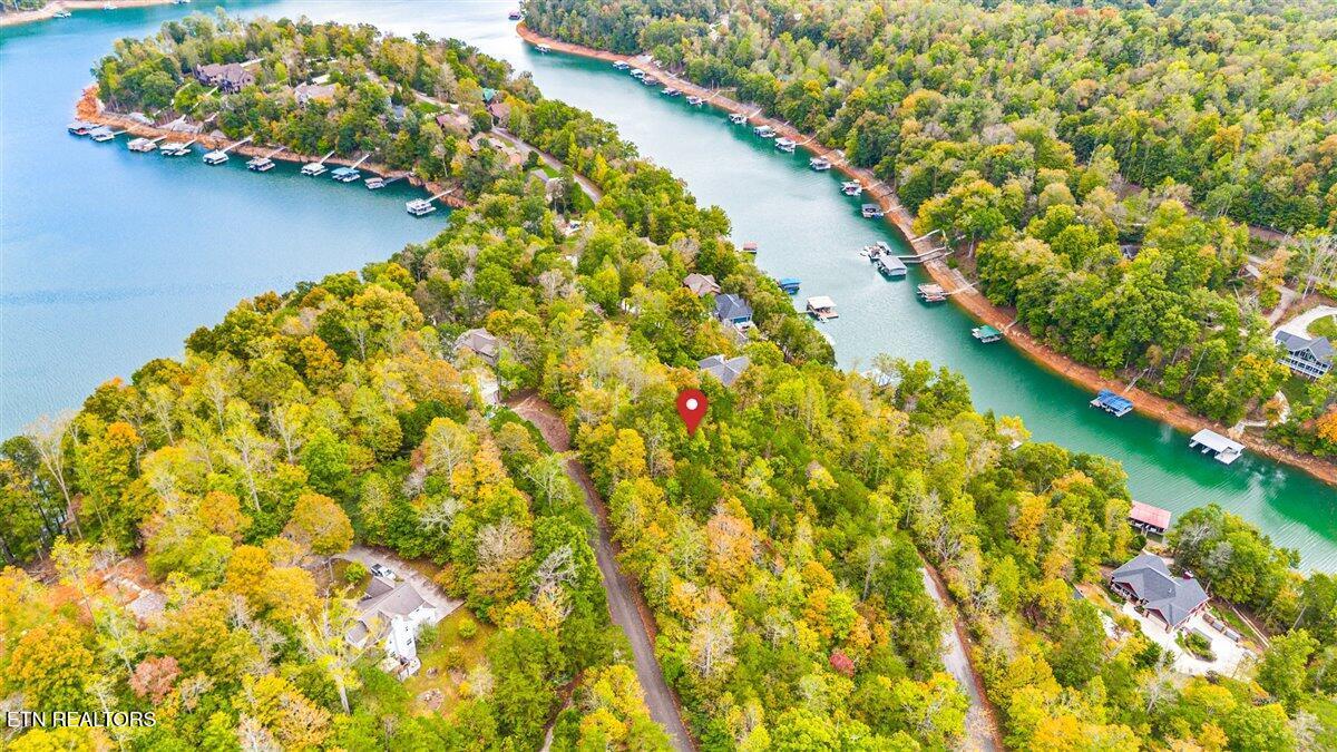 Image 3: Norris-Lake-Lot-Windsor-Pointe