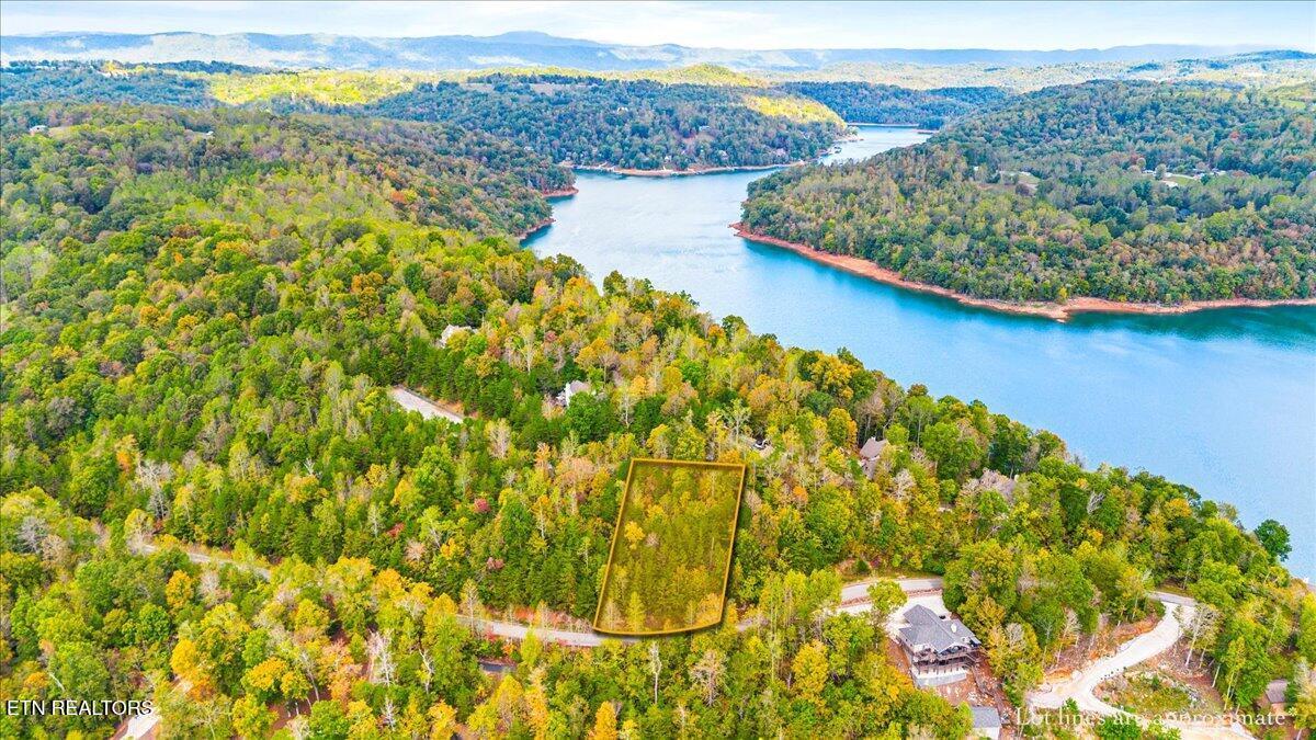 Image 4: Norris-Lake-Lot-Windsor-Pointe